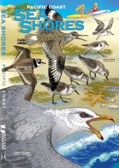 SEA SHORES COVER