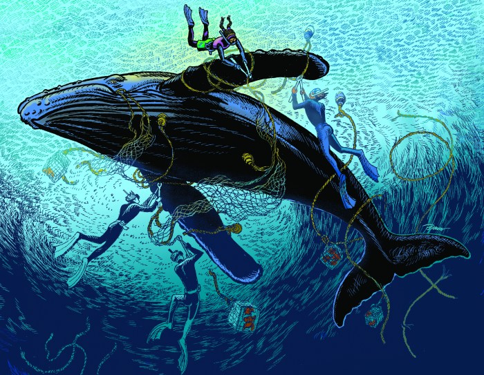 Underwater-Nina Delmar book