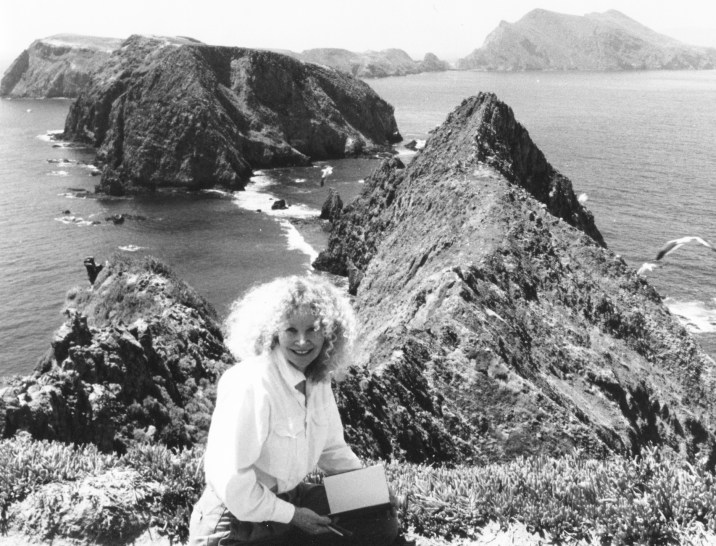 Dawnon ANACAPA 1995?